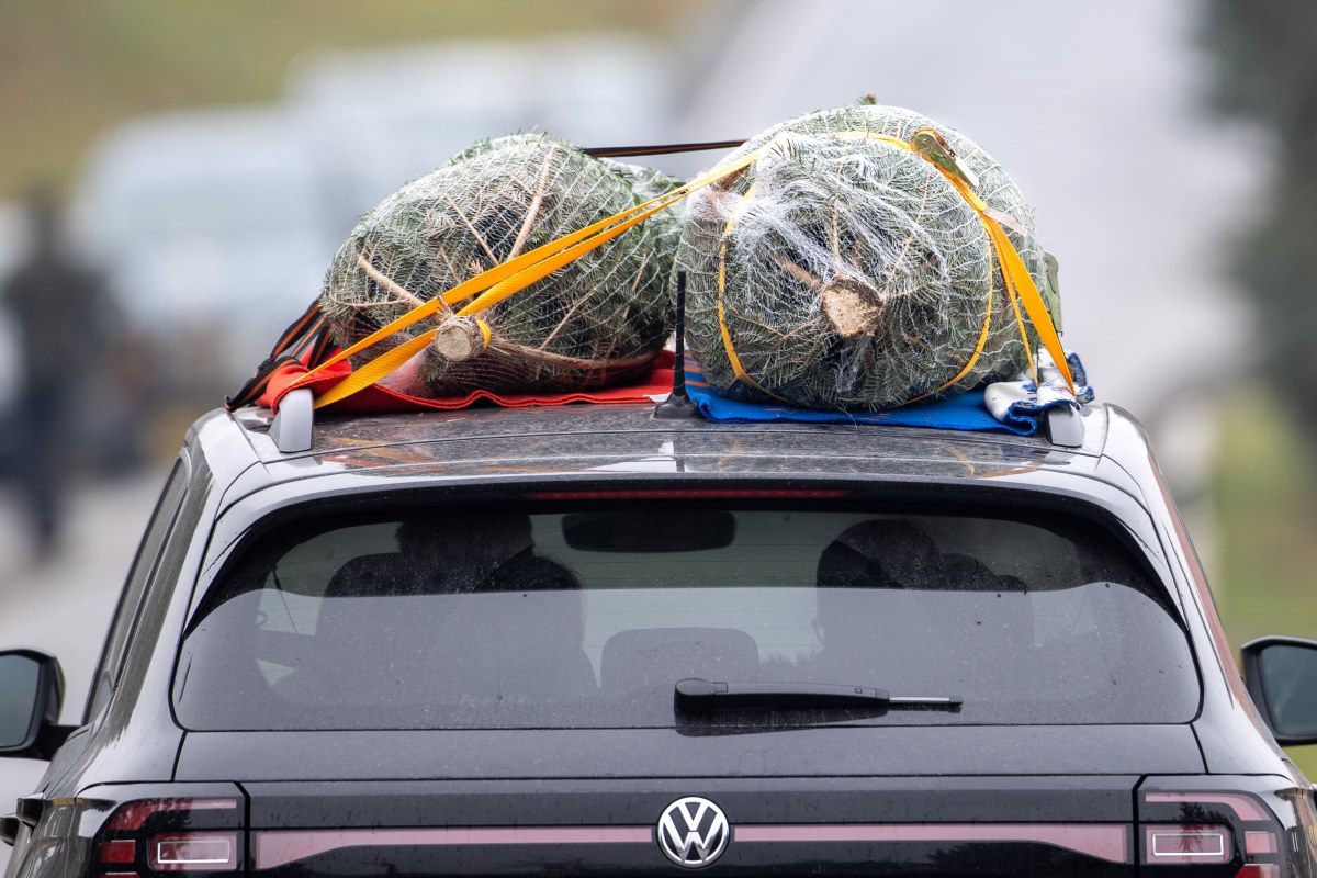 This owner protected their car from Christmas tree scratches with large microfiber mats