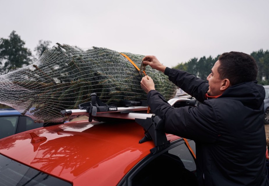 Man fastens a christmas tree on the roof of his red car.