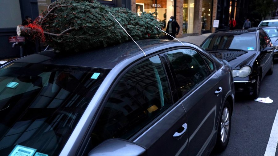Here's how to bring home home a Christmas tree without scratching your car