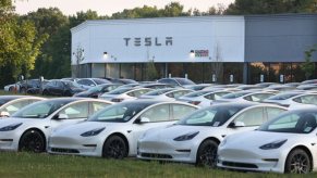 Rows of Tesla EVs at a dealership