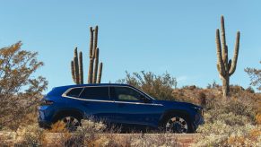 A blue 2023 BMW XM, possibly one of the ugliest cars of 2023, parks next to a cactus.