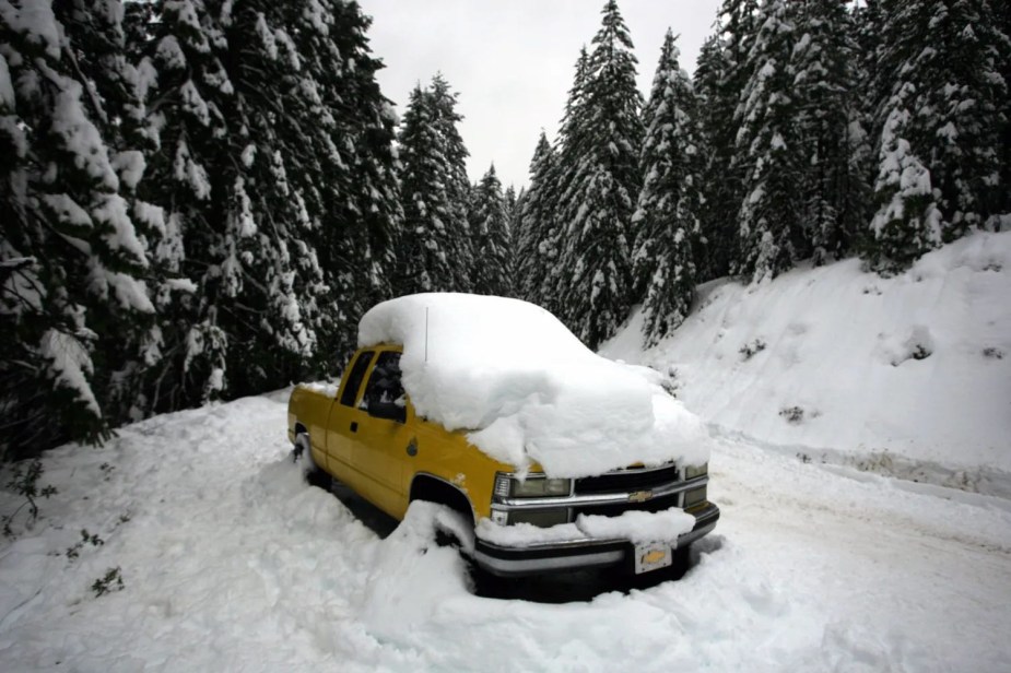 Yellow Chevrolet pickup truck covered in a snow bank, wintery pine trees in the background.