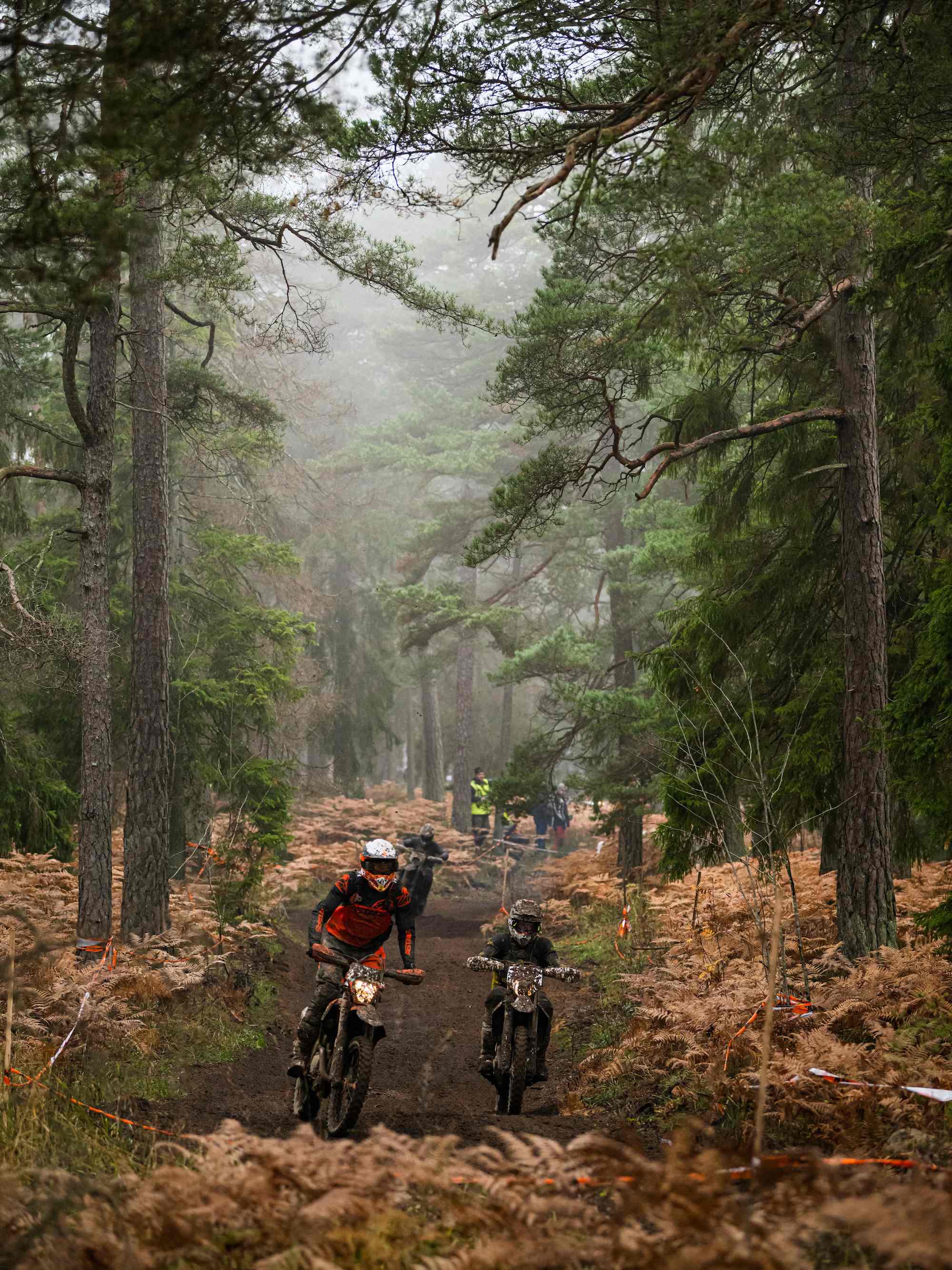 dirt bikers cruising through foggy pines