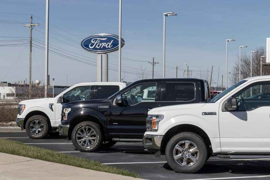 A Ford dealership sign with a row of Ford trucks parked at left-facing angles