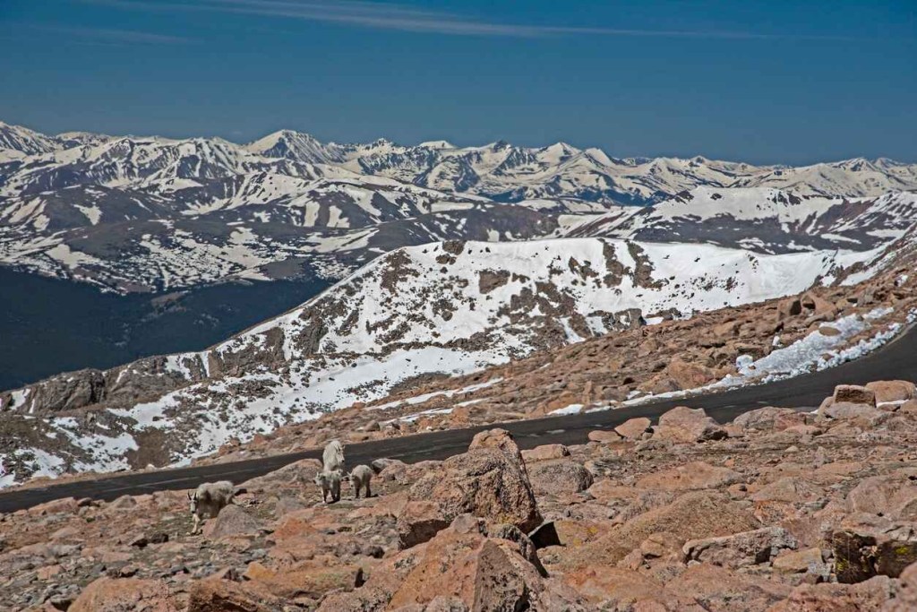 The snowy peaks surrounding Mt. Evans are shown with a road mid-ground