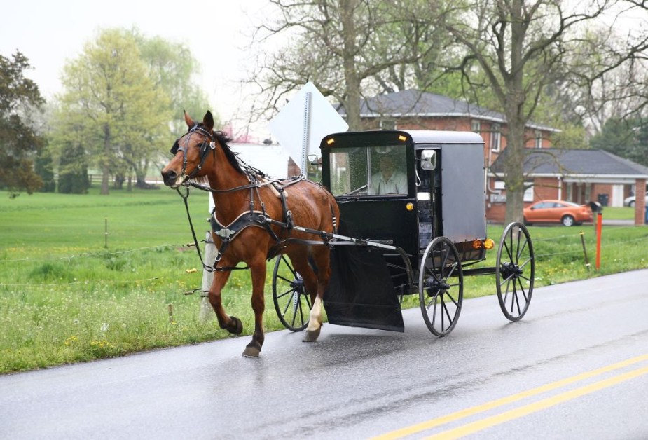 An Amish horse and buggy on the road