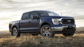 The 2023 Ford F-150 parked in a grassy field
