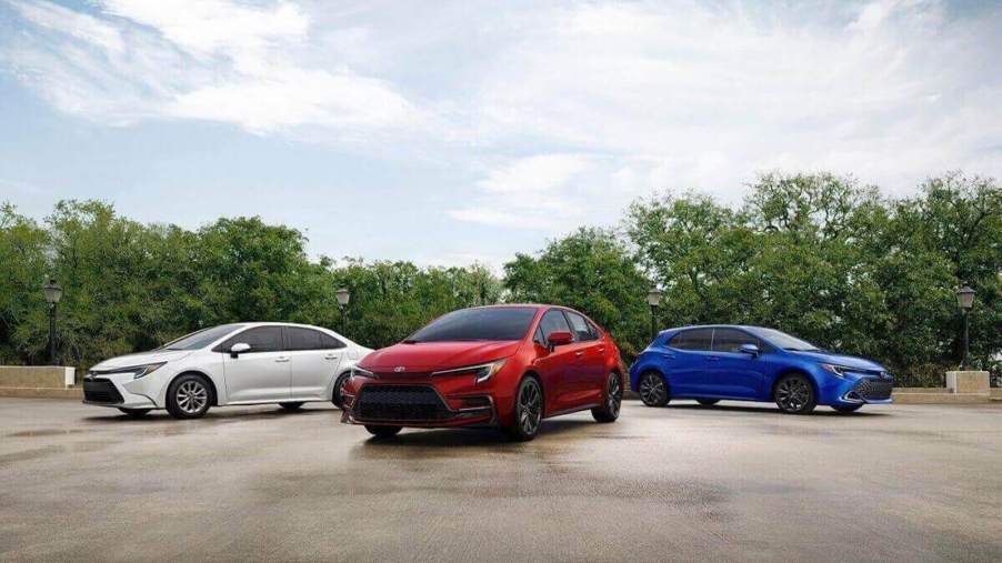A lineup of Toyota Corolla models, popular daily drivers, show off their body styles.