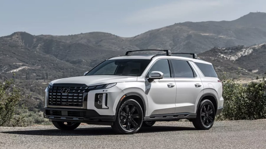 The 2024 Hyundai Palisade in front of a scenic view