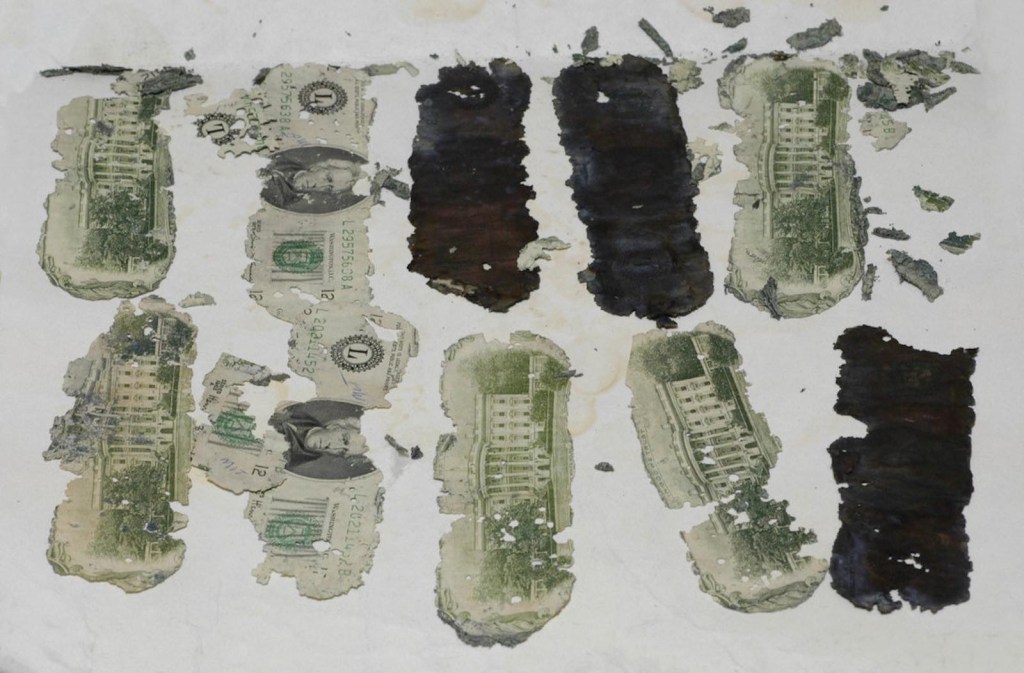 Torn and burned twenty dollar bills stolen by D.B. Cooper and buried in the Washington forest