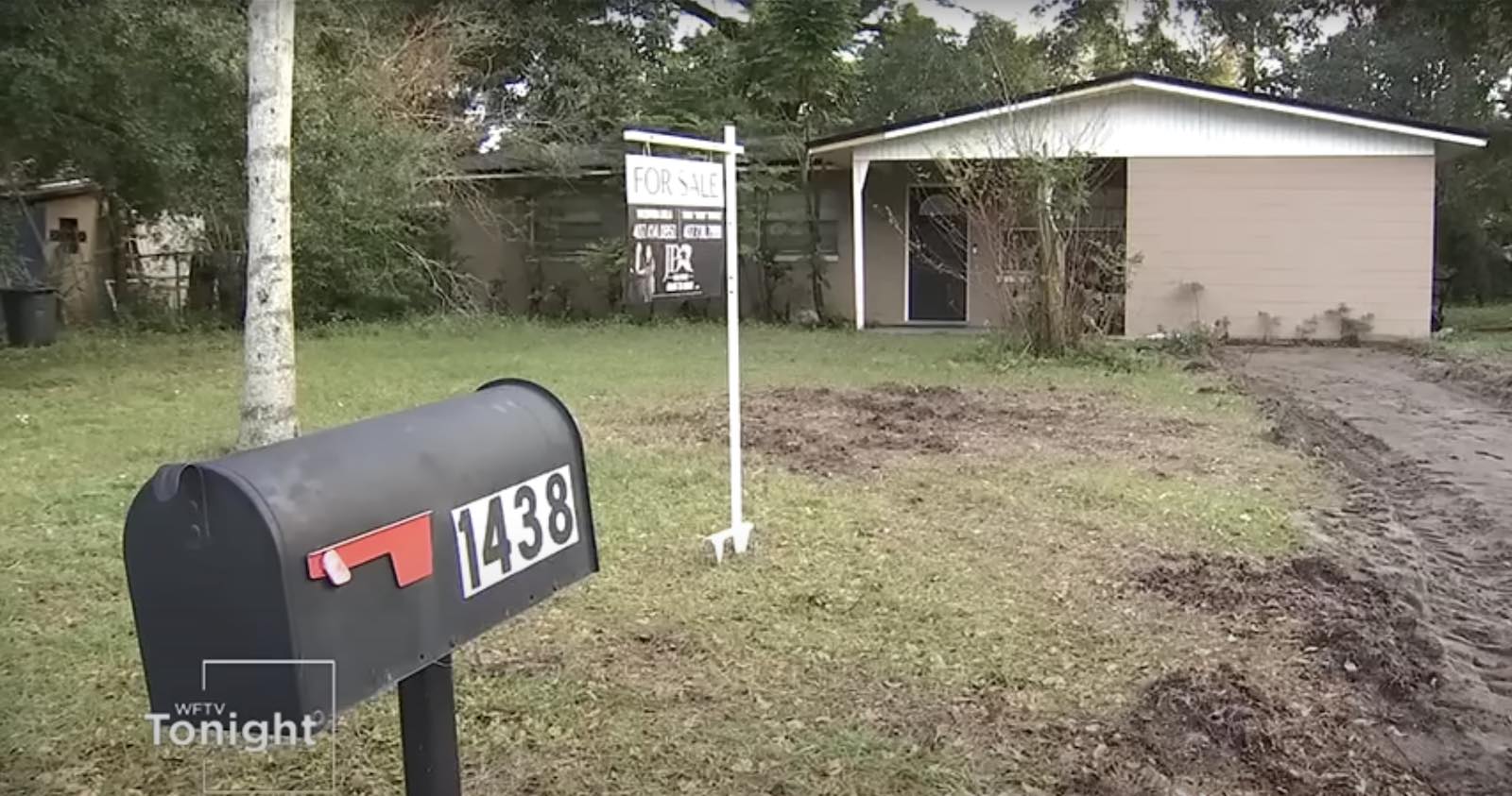 Mailbox and dirt hole where Florida woman's driveway was before being stolen.