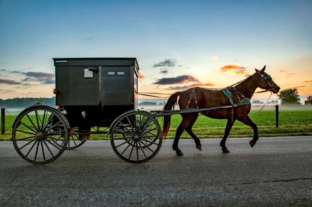 A horse and buggy like this one isn't typically the subject of a grand theft auto investigation.