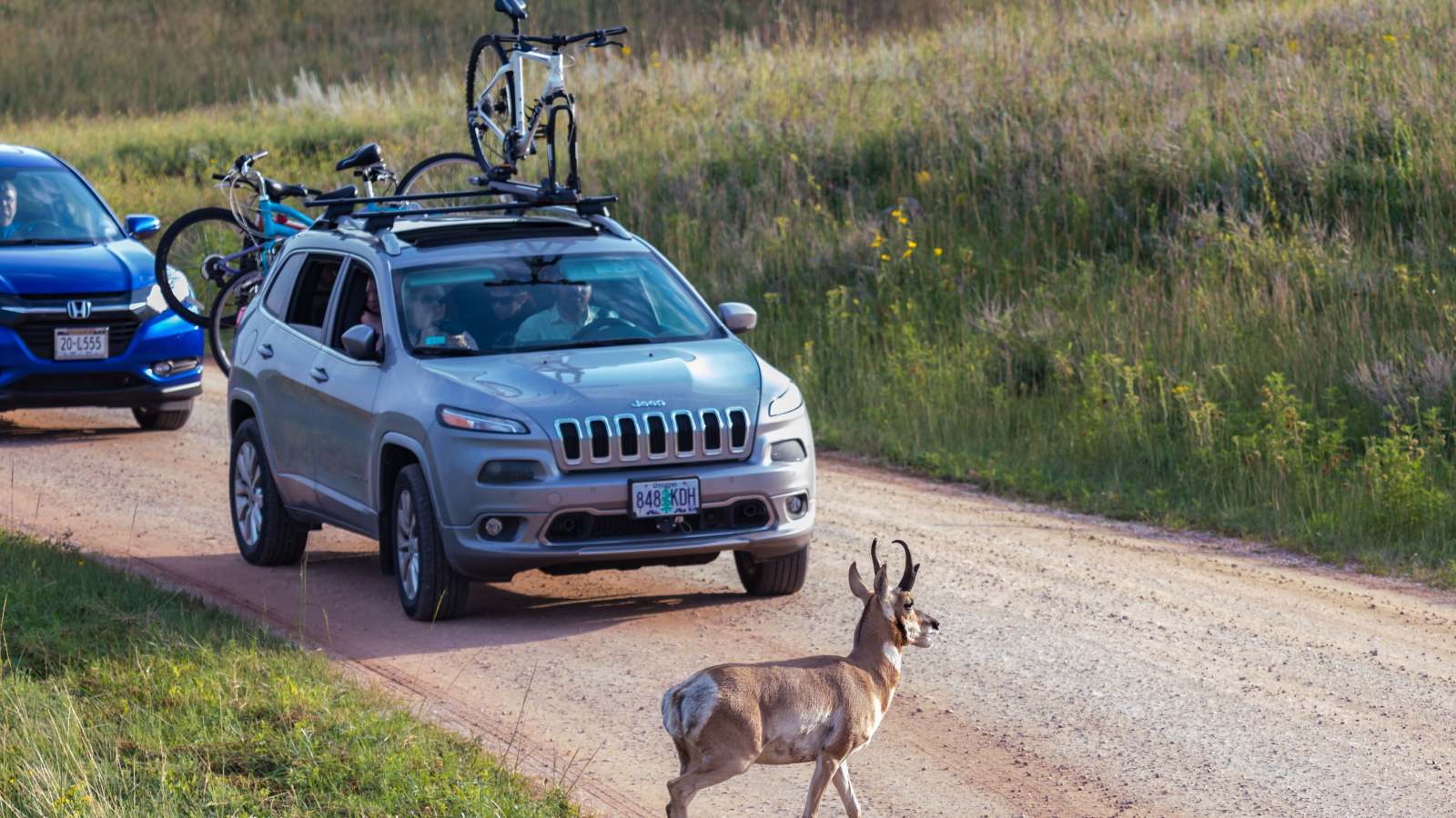 Passing a driver's license test in South Dakota is easy