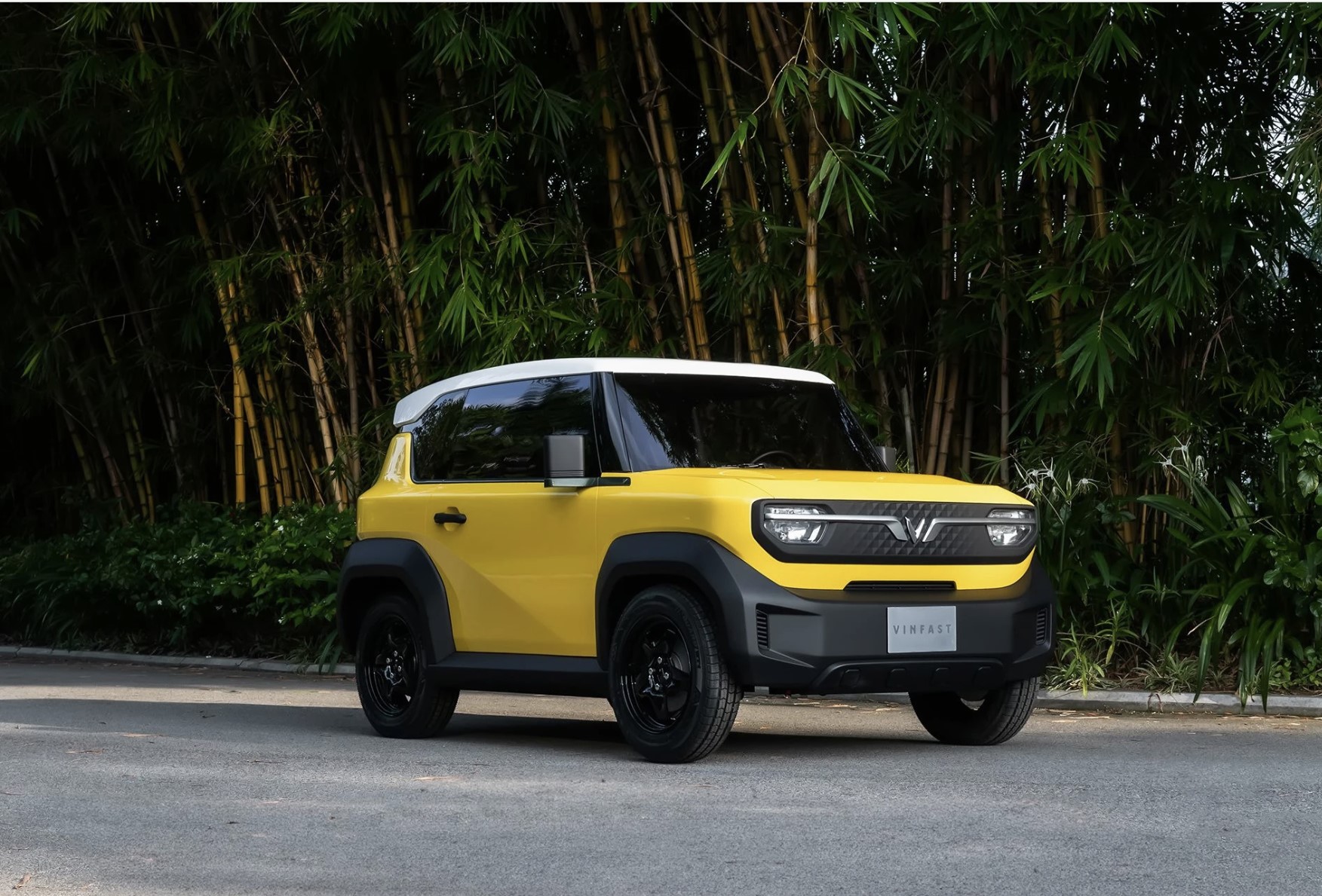 The VinFast VF 3 Concept parked by bamboo