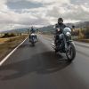 A 2024 Harley-Davidson Softail Street Bob 114 and Low Rider S blast down a highway.