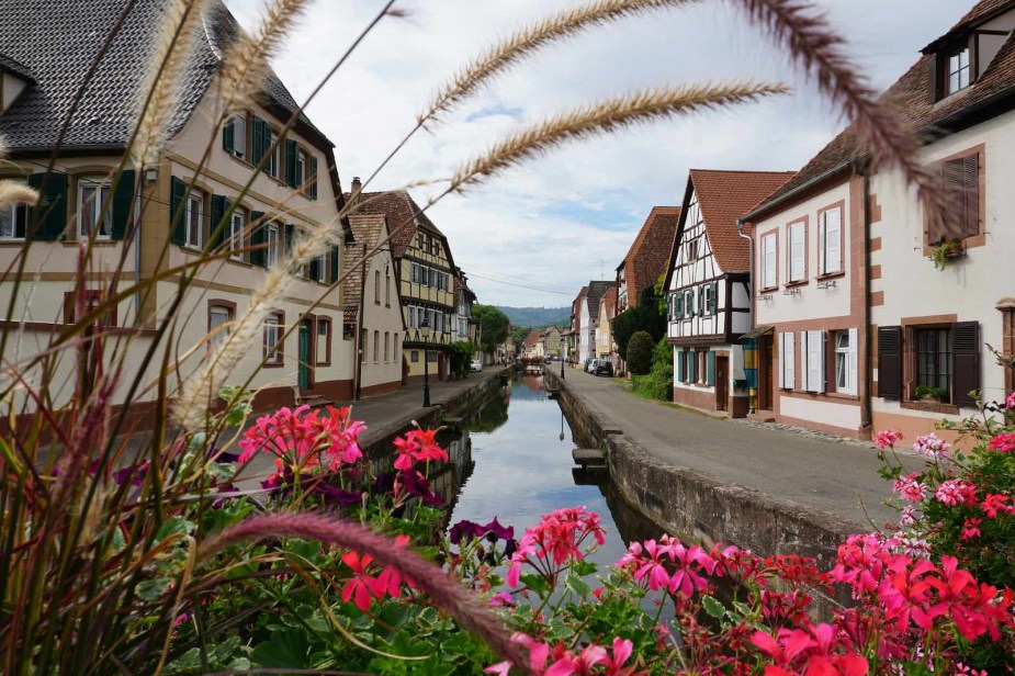 A village with a canal and wildflower field. 