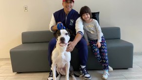 A man and his daughter hold a pet pit bull.