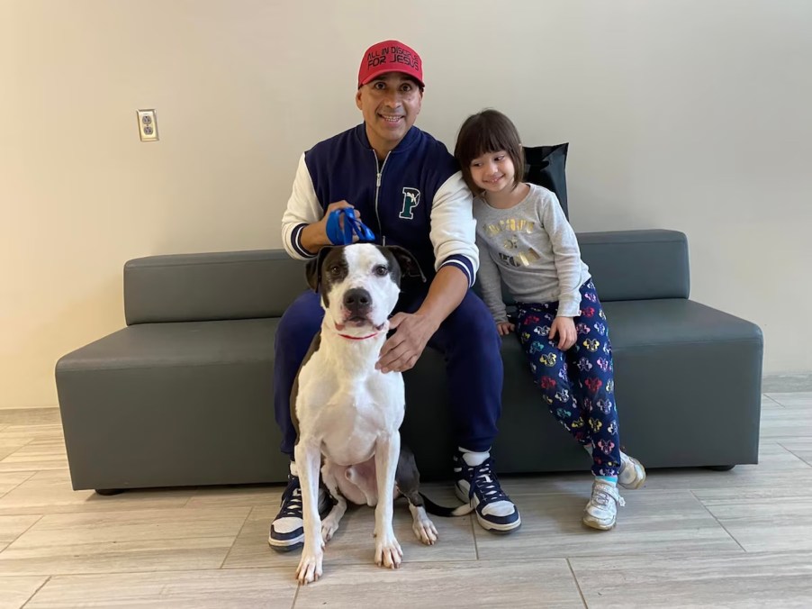 A man and his daughter hold a pet pit bull.