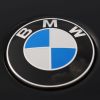 A BMW badge, the symbol that builds brand loyalty among its owners, displays its colors.