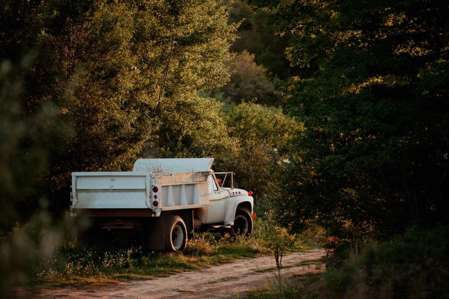 White one-ton dump truck parked on a dirt road in the woods.