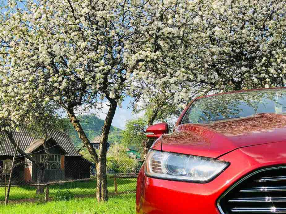 Red Ford Fusion parked in front of a blossoming tree in a farmyard