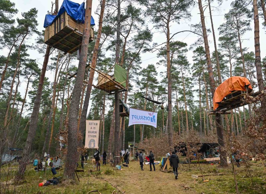 German forest filled with treehouses built by protestors of Tesla's factory expansion
