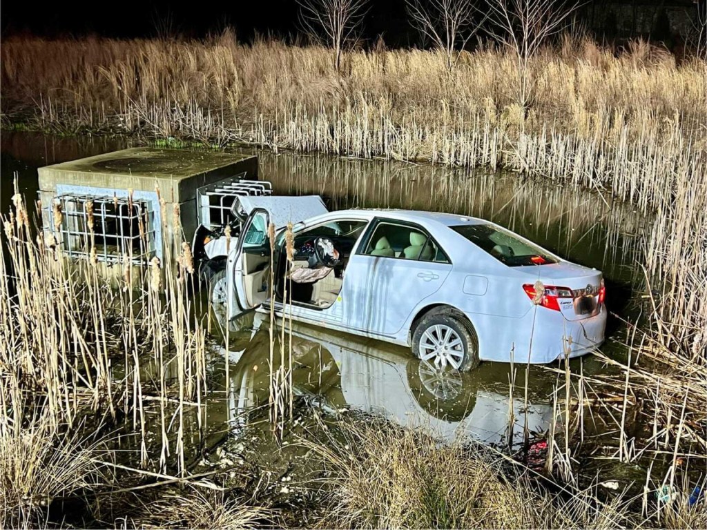 A white Toyota sedan is a sinking car in a Maryland retention pond after crews rescued a service dog and driver. 
