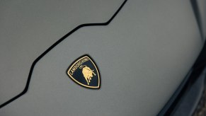 Hood of a white car with a Lamborghini logo visible.