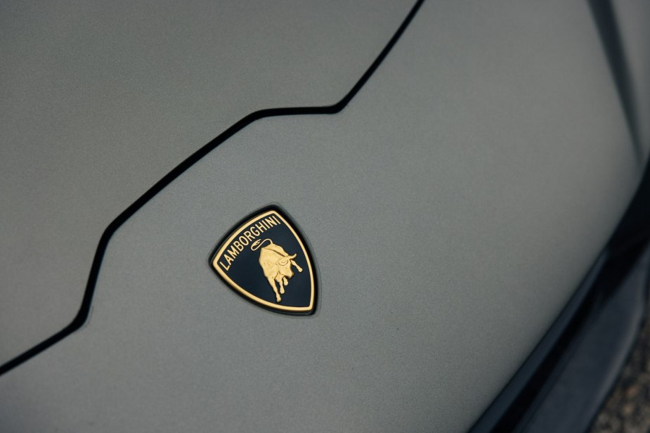 Hood of a white car with a Lamborghini logo visible.