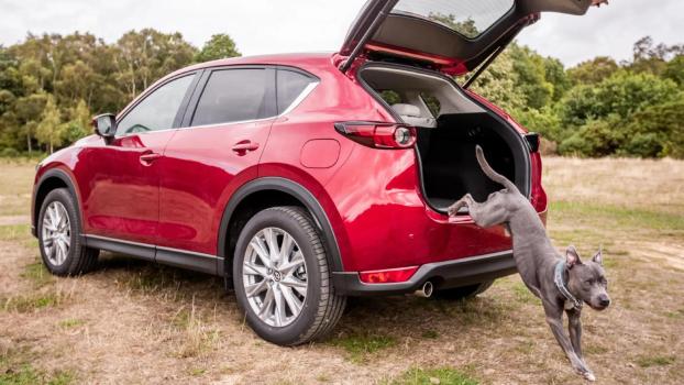 Mazda CX-5 With Dog Jumping Out of the Rear