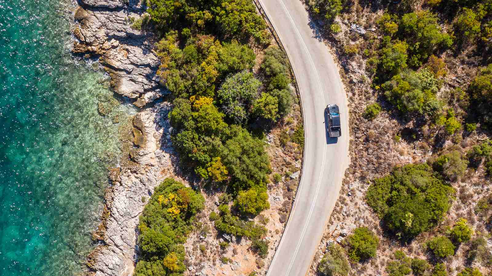 Car rentals have much to offer