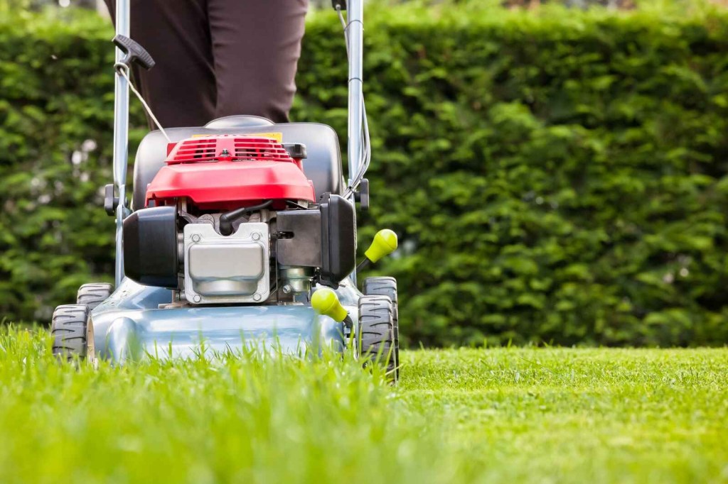 A push lawn mower being operated by someone wearing black pants walking towards camera view of partially cut grass and uncut grass