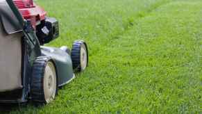 A push lawn mower bring operated in right rear view close view of grass and side of mower