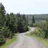 Remote forested gravel road lined with jack pine