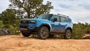 Blue 2024 Toyota Land Cruiser on a dirt trail.