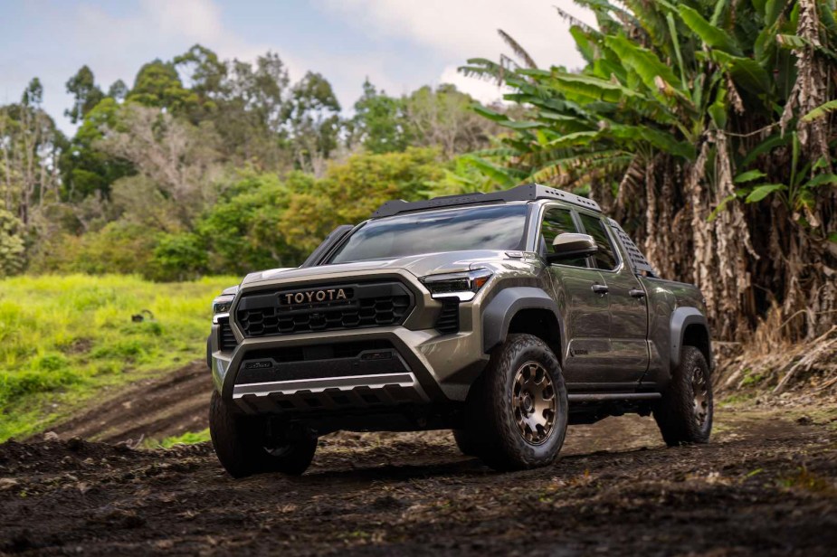 New Toyota Tacoma parked in the jungle.