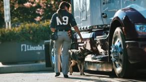 A woman with a "K9" uniform and a German Shephard dog examine a semi truck