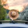 A passenger waves their hat through an open sunroof in a car.