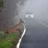 A deer shown lifting a foreleg to walk onto a misty paved road with a white SUV approaching from the background
