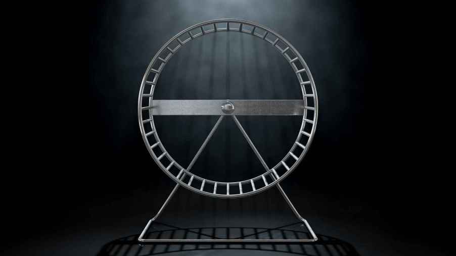 A metal hamster wheel in a dark space overhead light