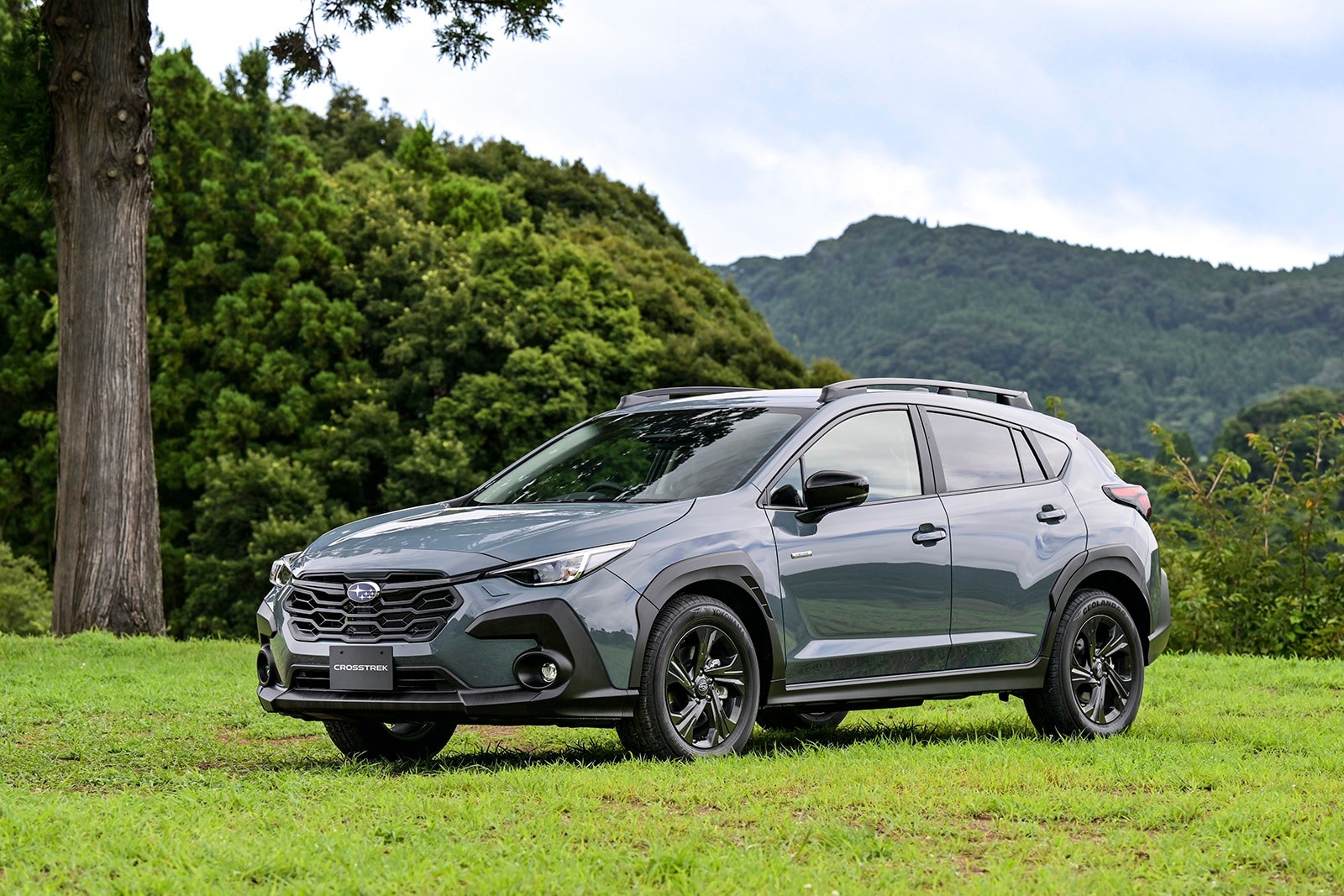 The 2024 Subaru Crosstrek parked in grass 