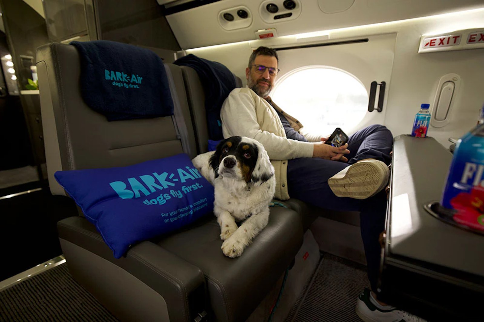 A dog and a person sit inside a Gulfstream V for a Bark Airlines flight