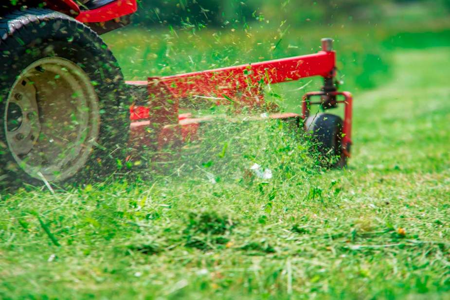 Grass clippings flying out of the deck of an orange lawn mower.