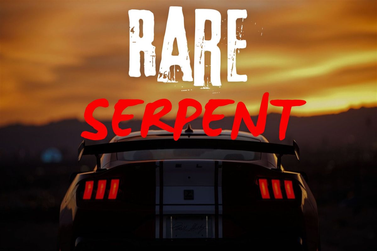 Look But Don't Touch: You'll Likely Never Have an S650 Shelby Super