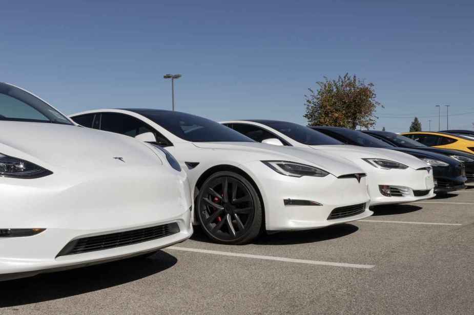 A line of white Tesla EVs parked in right front angle view in parking spots