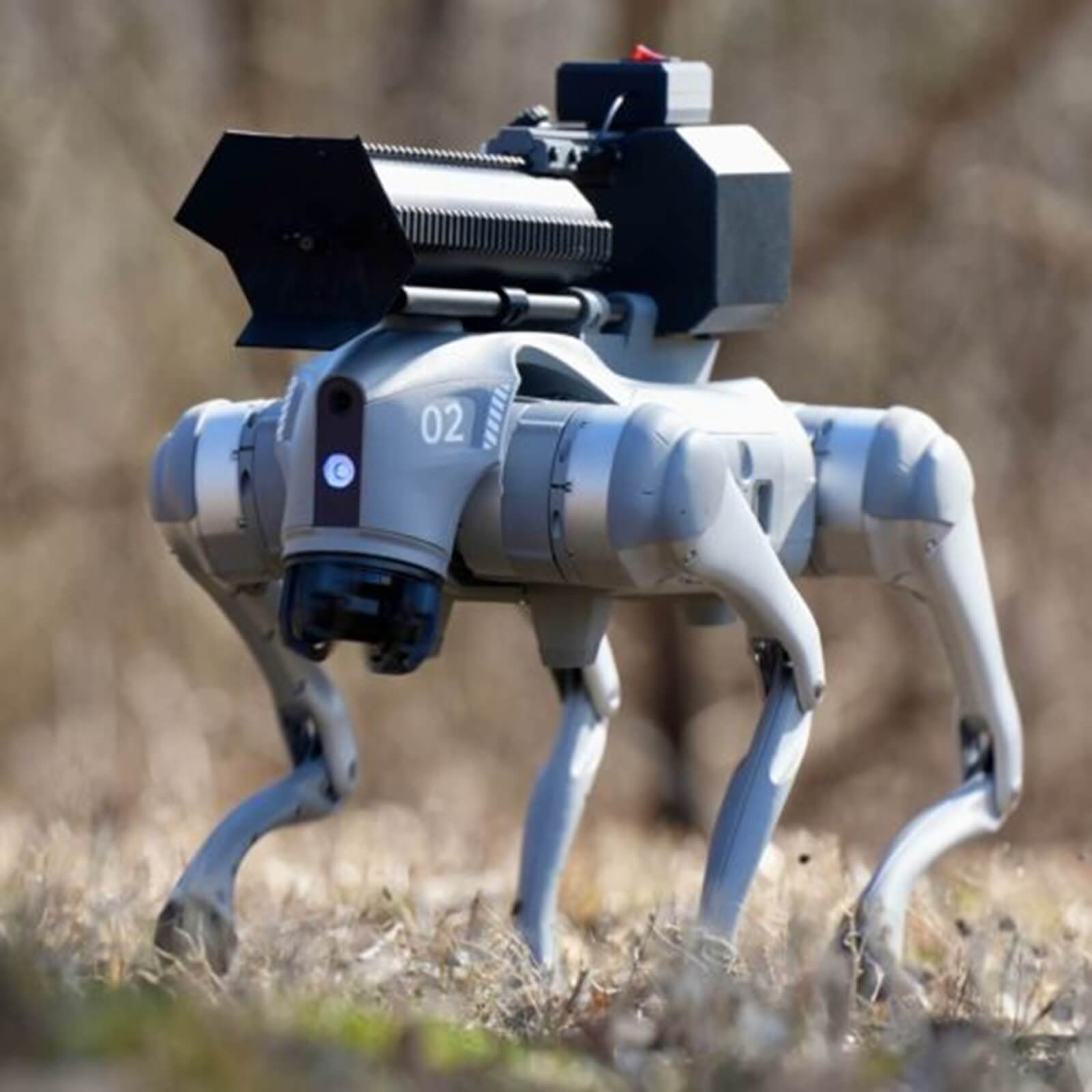 The Thermonator flamethrower robot dog walks around in the woods.