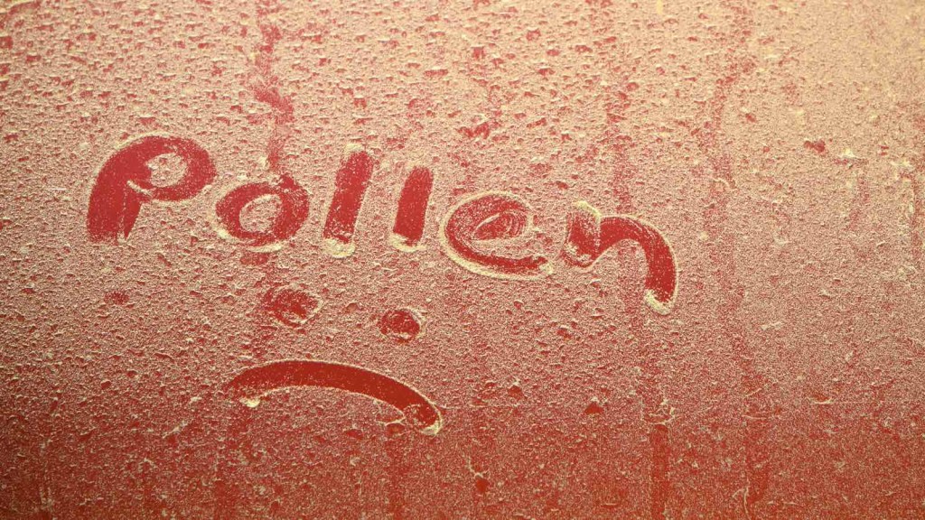 Pollen looks bad on cars