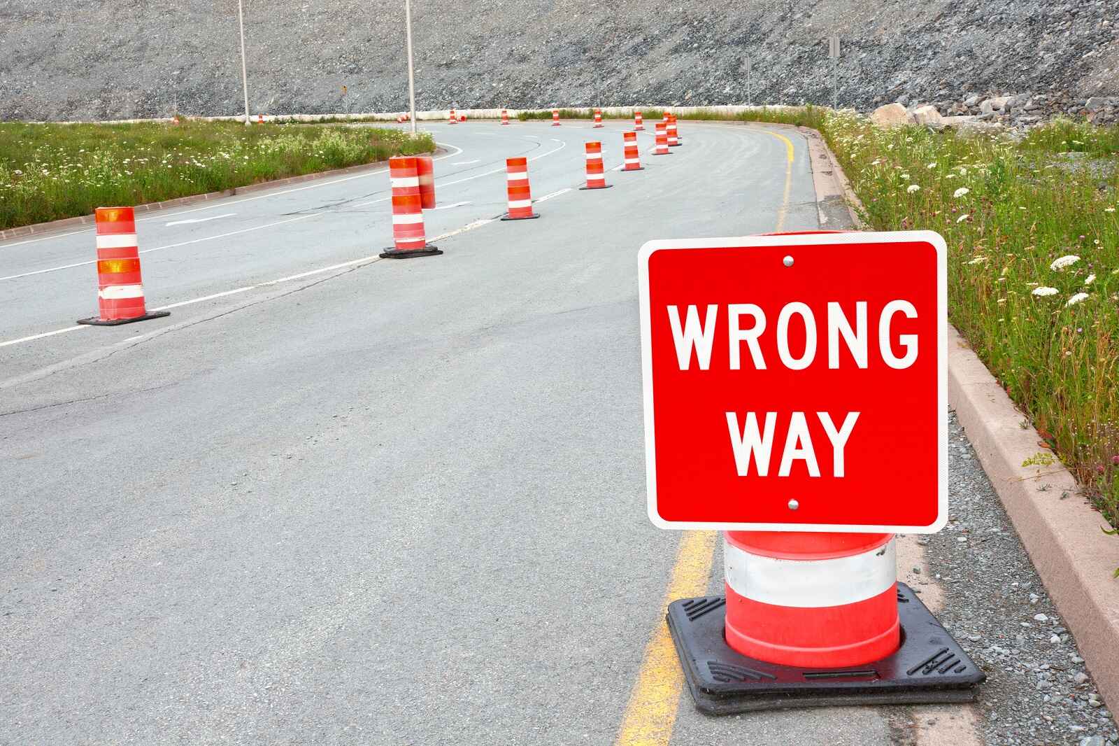 A "wrong way" sign posted on a traffic cone on the side of a road peppered with more cones