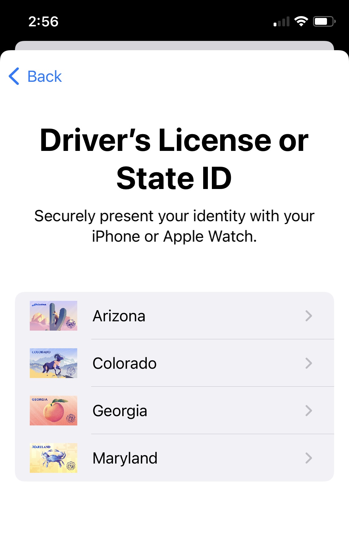 A screenshot of the Apple Wallet driver's license UX