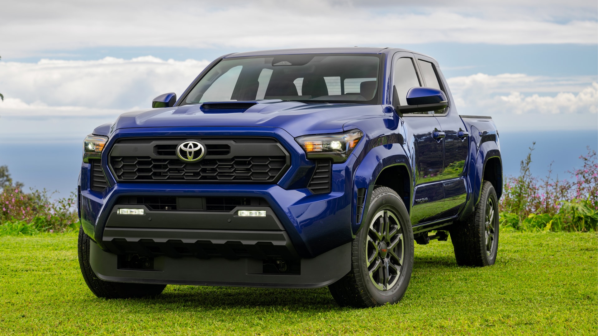 The 2025 Toyota Tacoma parked in grass
